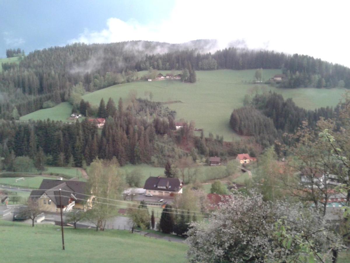Haus Koenigshofer Daire Sankt Kathrein am Hauenstein Dış mekan fotoğraf