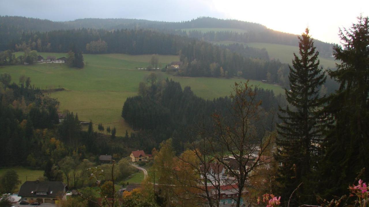 Haus Koenigshofer Daire Sankt Kathrein am Hauenstein Dış mekan fotoğraf